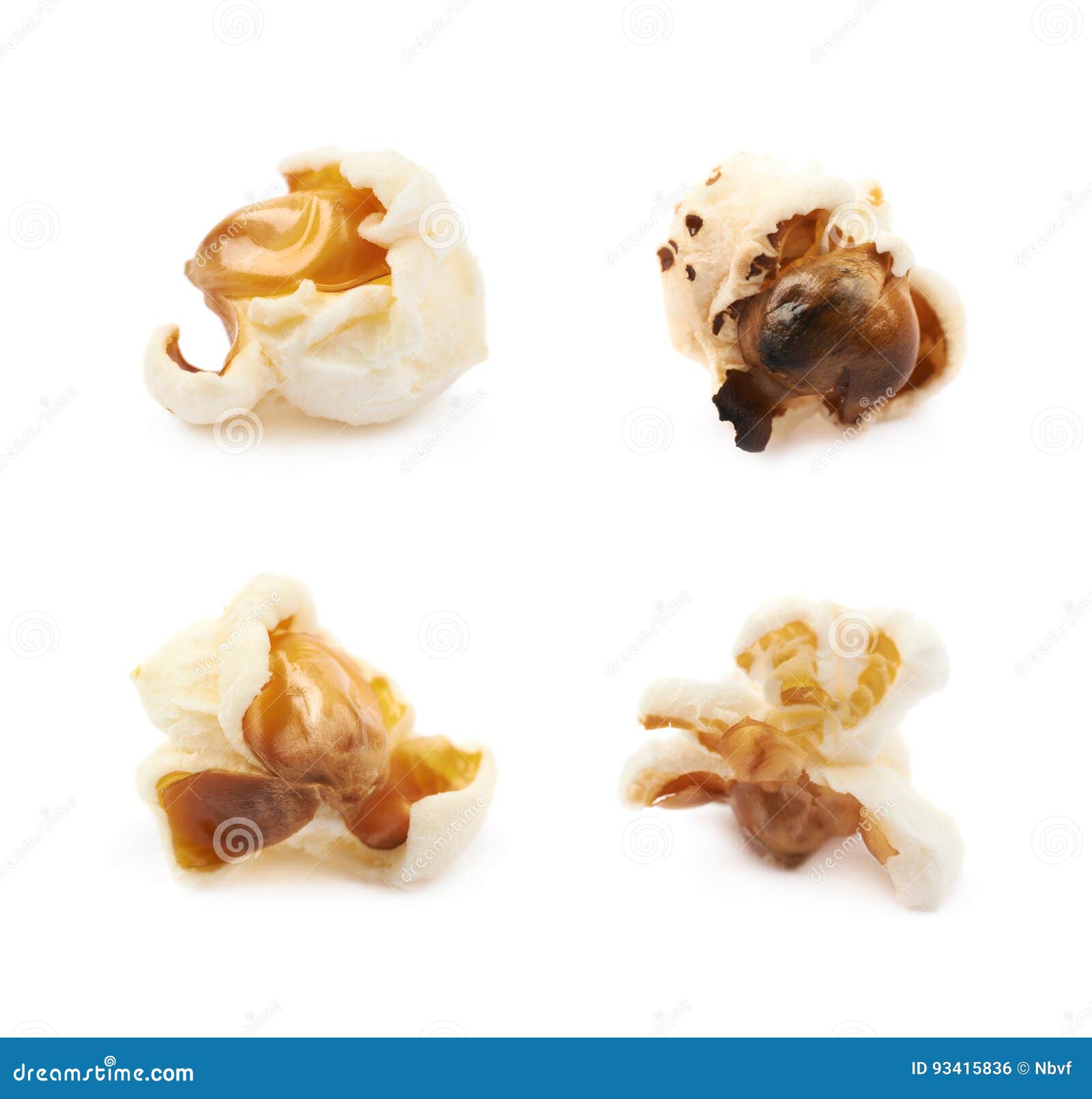 Semiopened Popcorn Kernel Isolated Stock Photo Image of popcorn