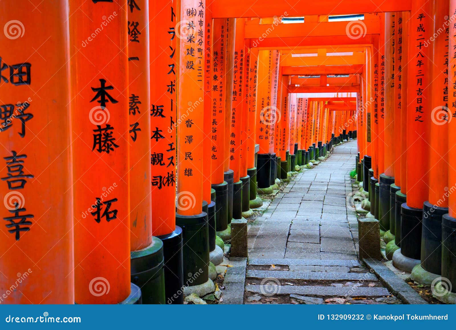 Senbon Torii At Fushimi Inari Shrinefushimi Inari Taisha Stock Photo Image Of Kyoto Japanese Senbon Torii At Fushimi Inari Shrinefushimi Inari Taisha Stock Photo Image Of Kyoto Japanese