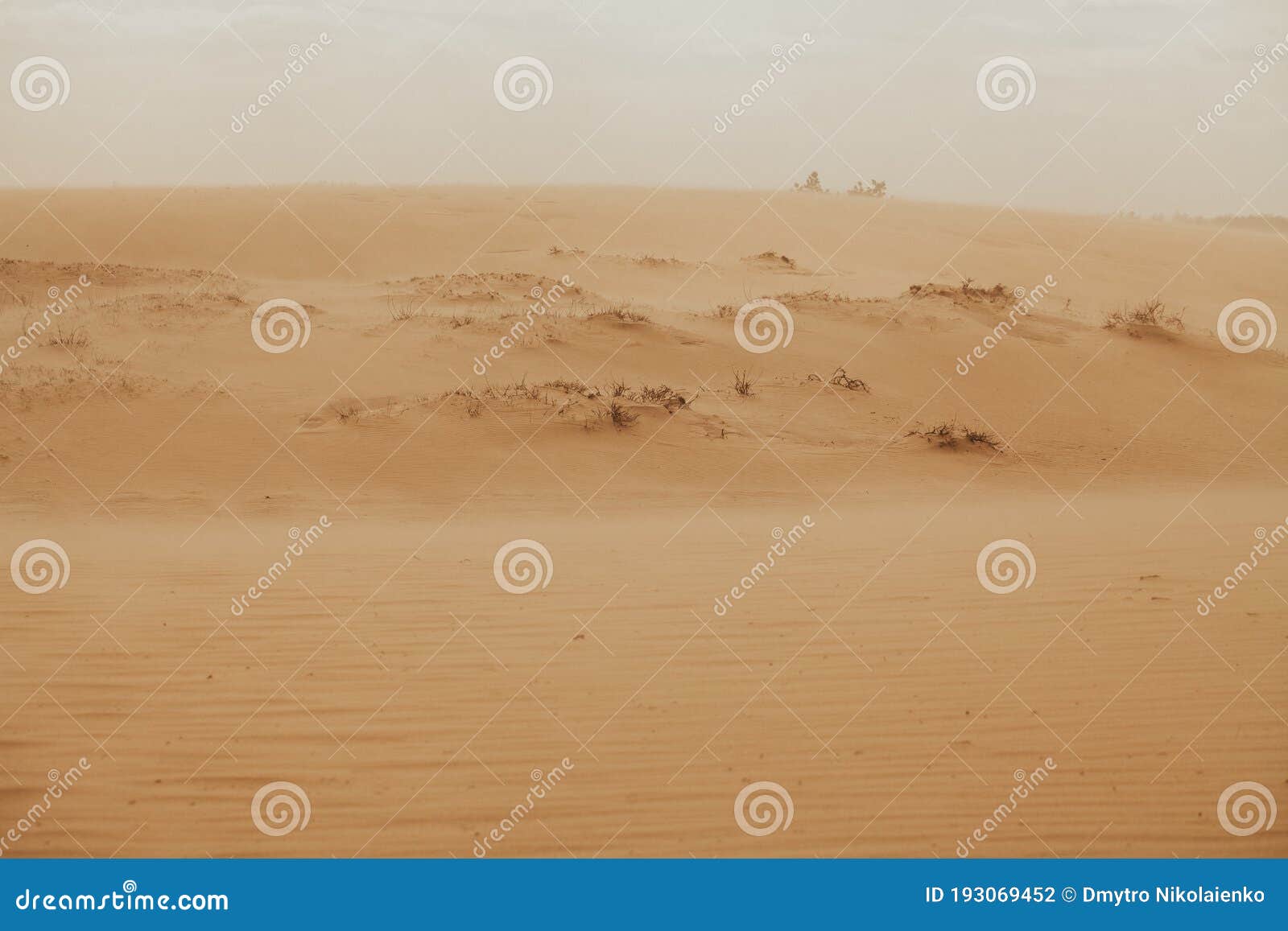 the send of the desert. send storm. sand dunes, barkhan belt. sahara send texture
