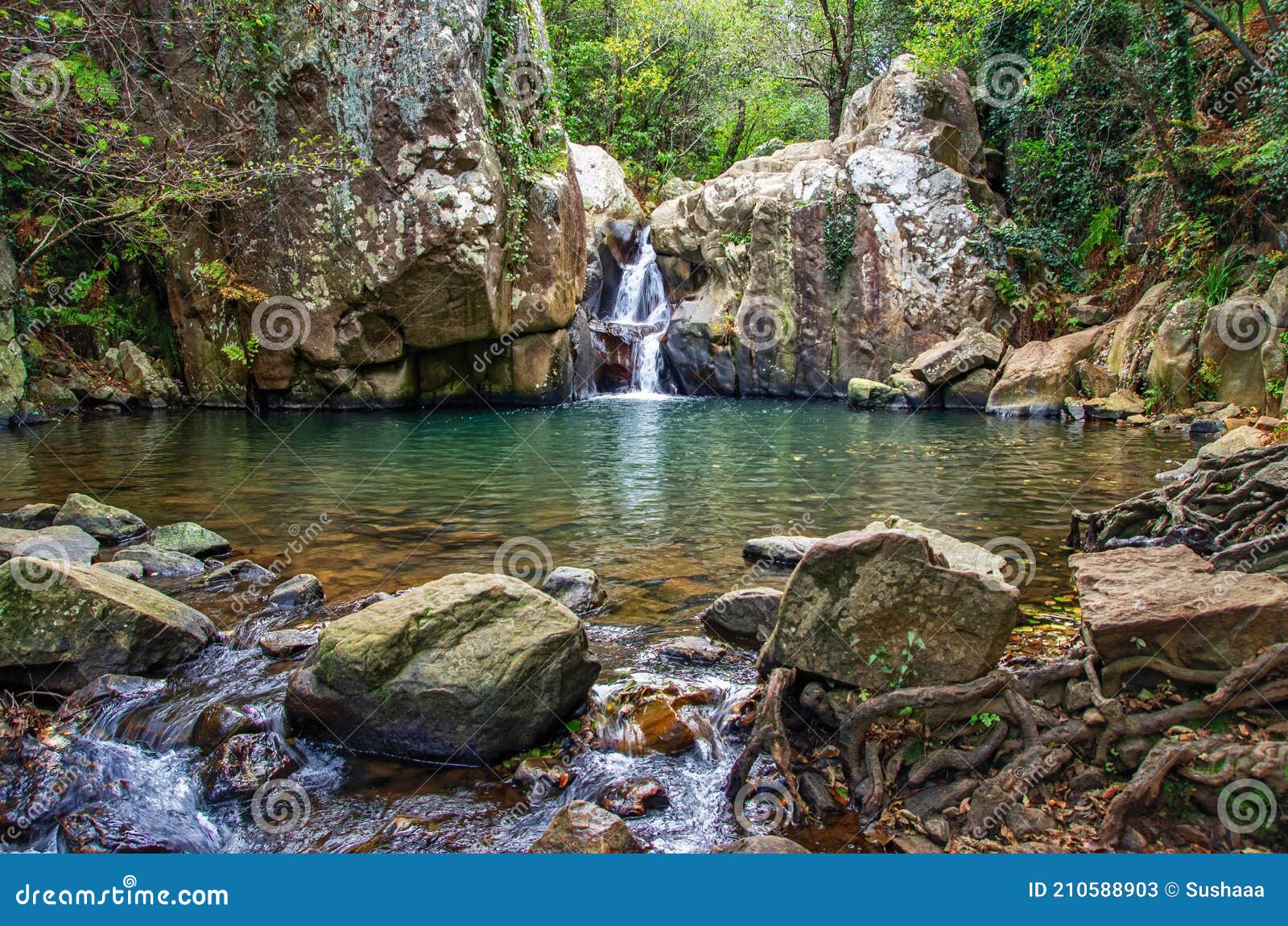 sendero rio de la miel. small waterfall in the nature, rocks in the foreground.