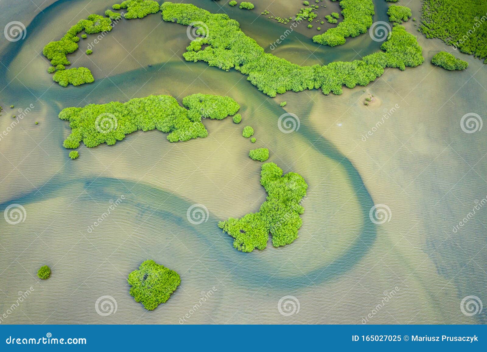 senegal mangroves. aerial view of mangrove forest in the  saloum delta national park, joal fadiout, senegal. photo made by drone