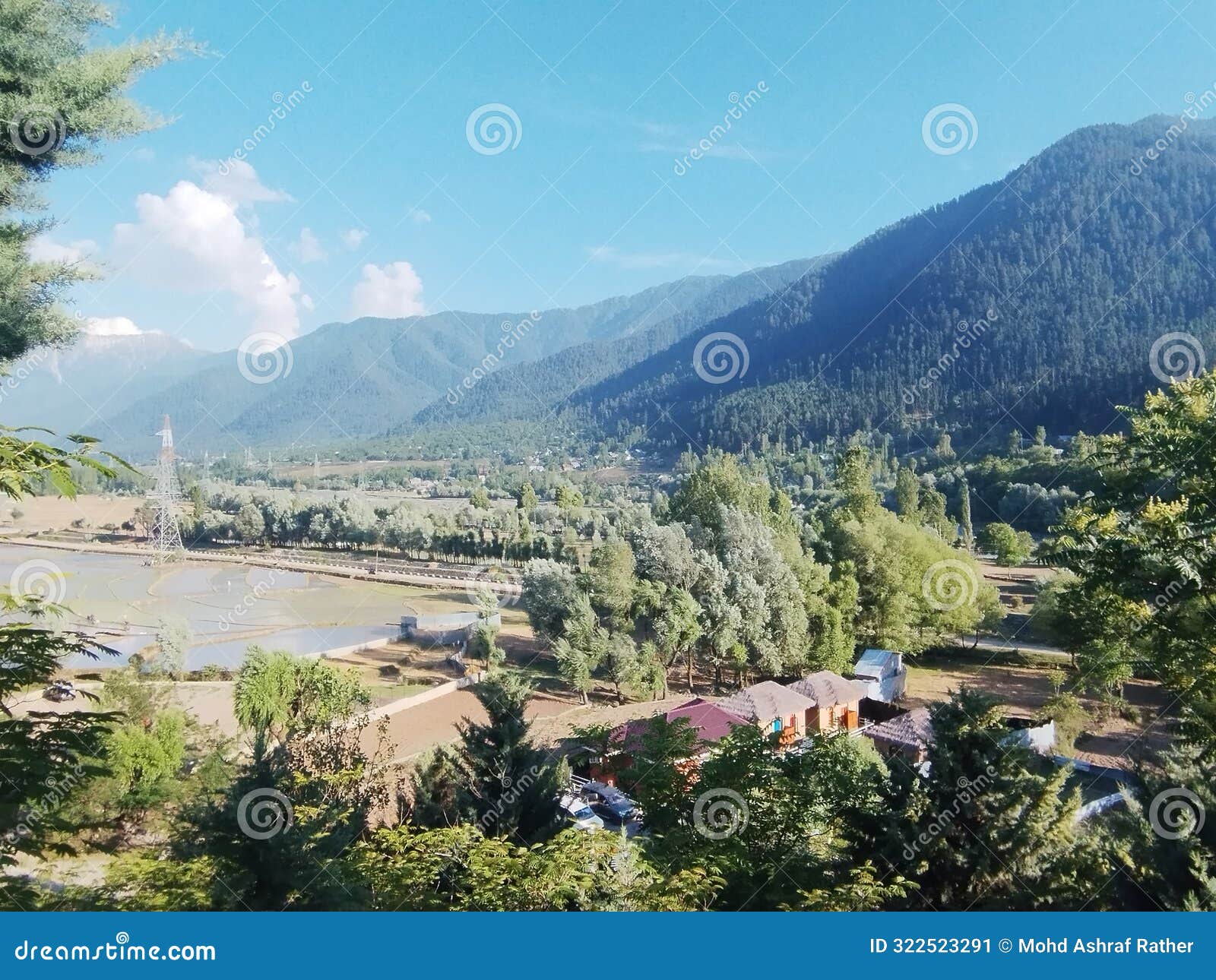 senic view of the forest mountains green blue sky clouds