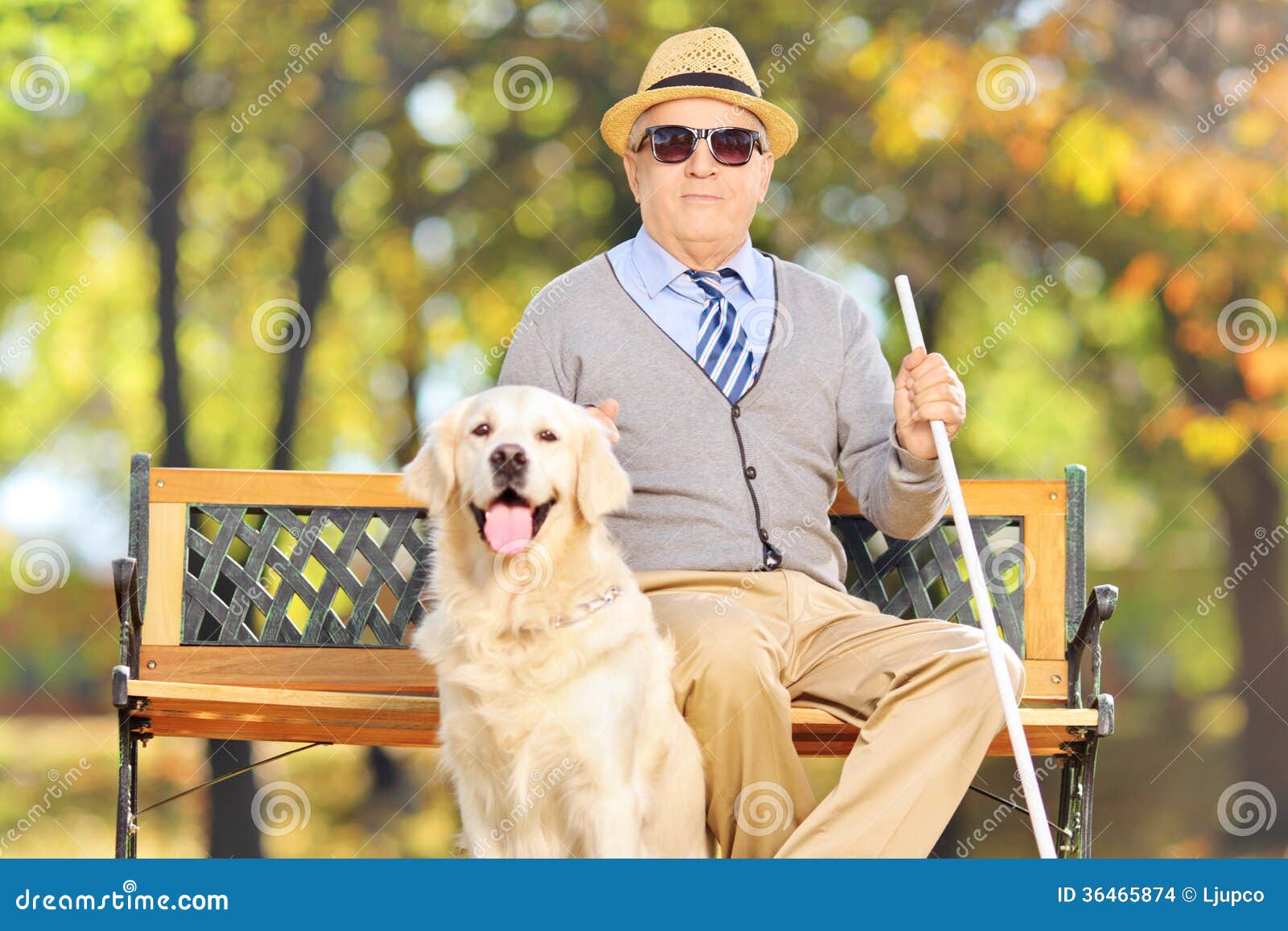 senior-blind-gentleman-sitting-bench-his-labrador-retr-retriever-dog-park-36465874.jpg
