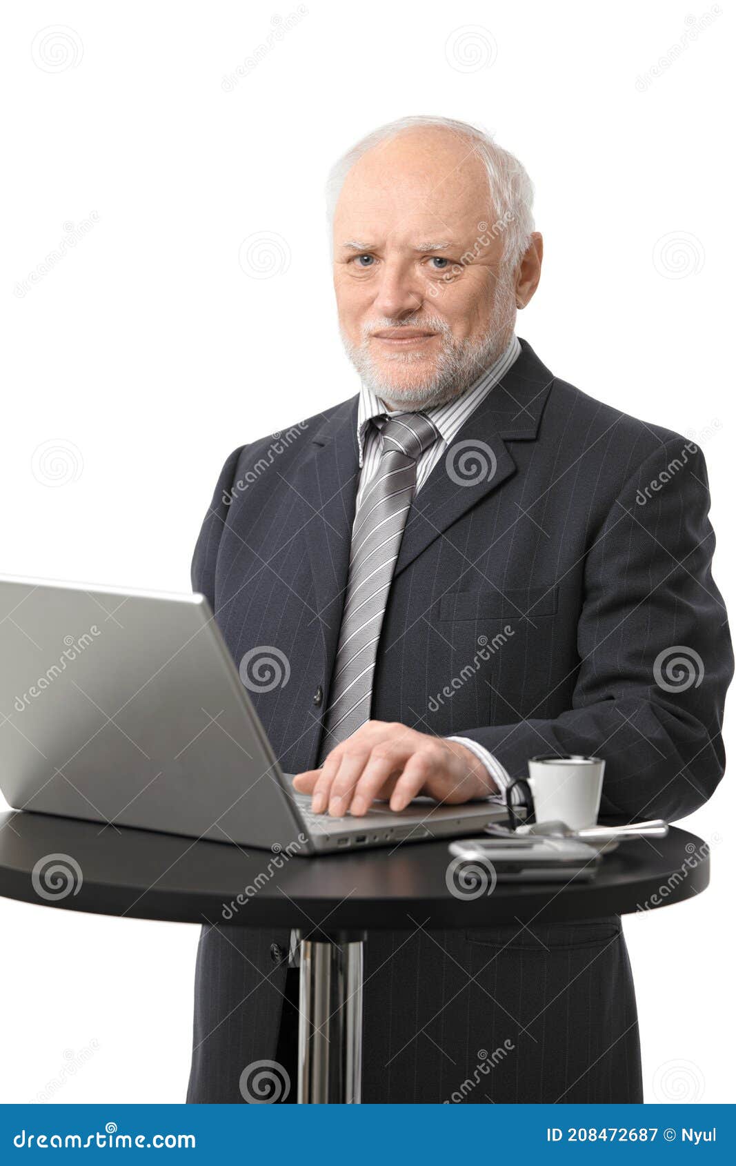 senior businessman using computer