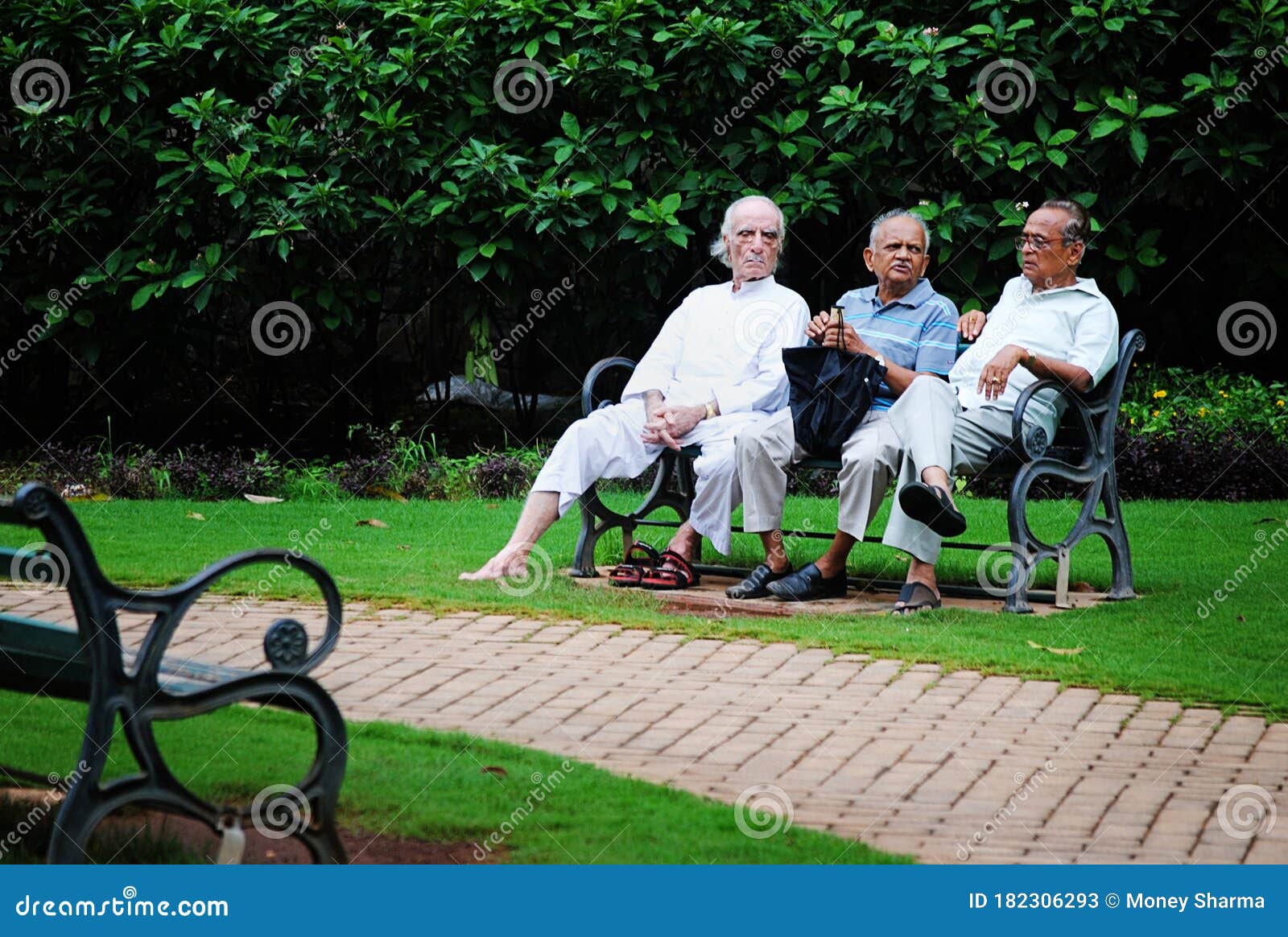 Senior Citizens Sit in a Garden Editorial Stock Photo Image of