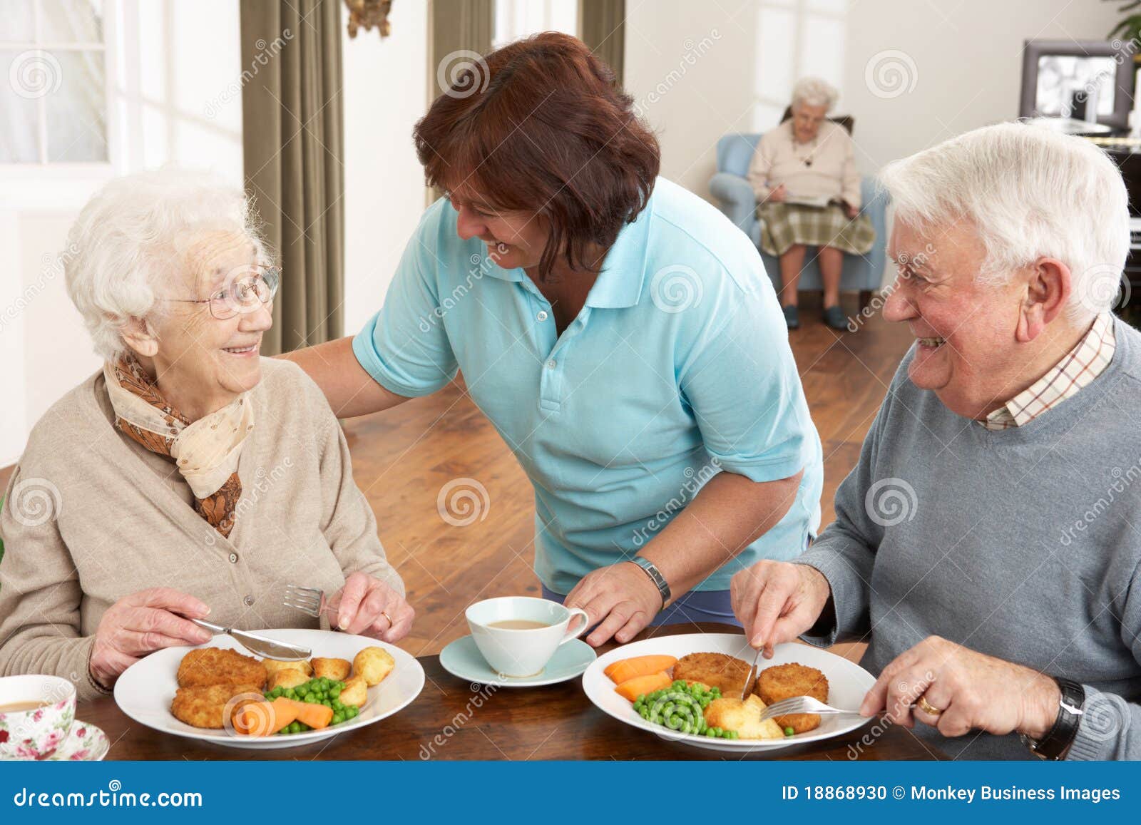 senior couple being served meal by carer