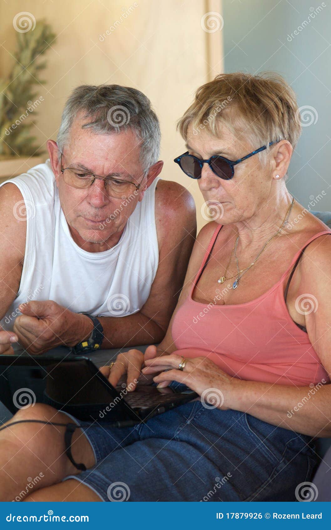 senior couple browsing computer