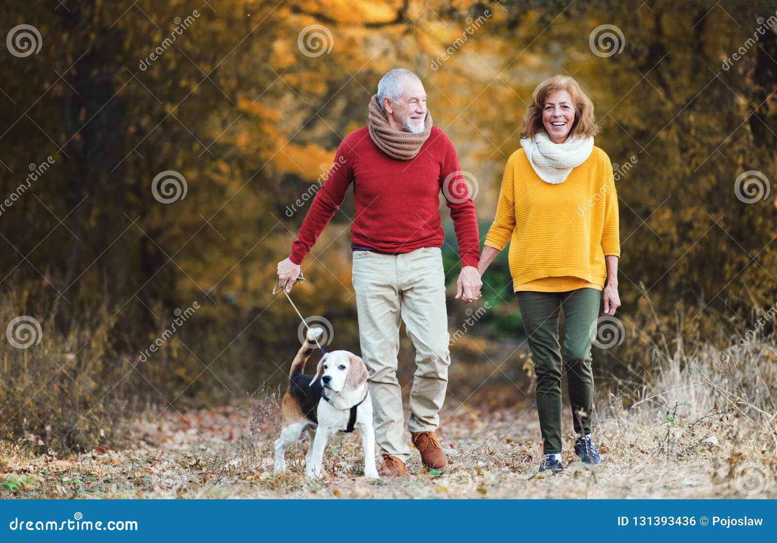 a senior couple with a dog on a walk in an autumn nature.