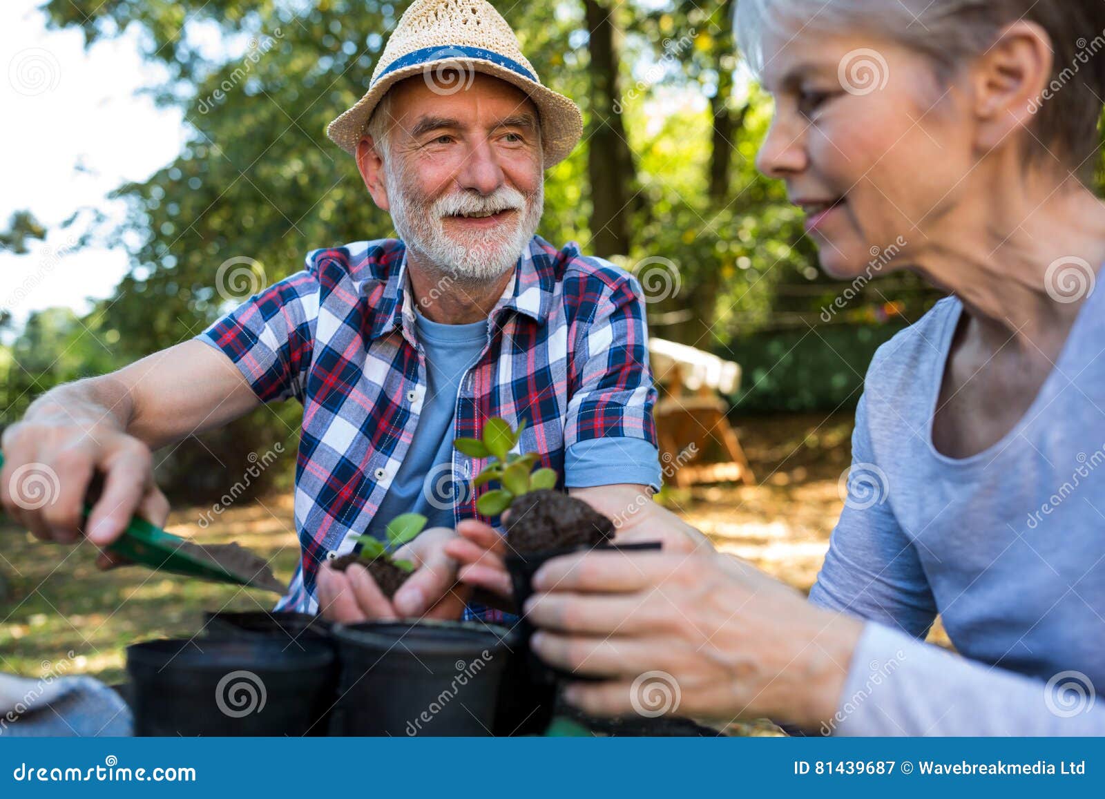 Senior Couple Gardening in the Garden Stock Image - Image of affection ...