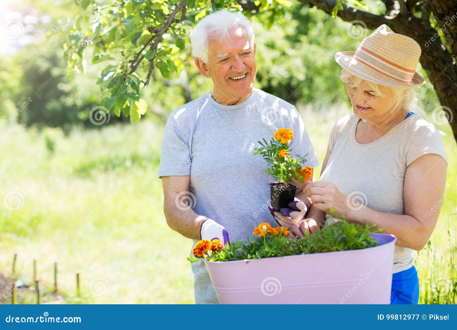 Senior couple gardening stock image. Image of lifestyle - 99812977