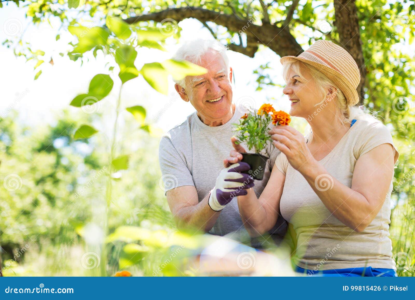 Senior couple gardening stock photo. Image of healthy - 99815426