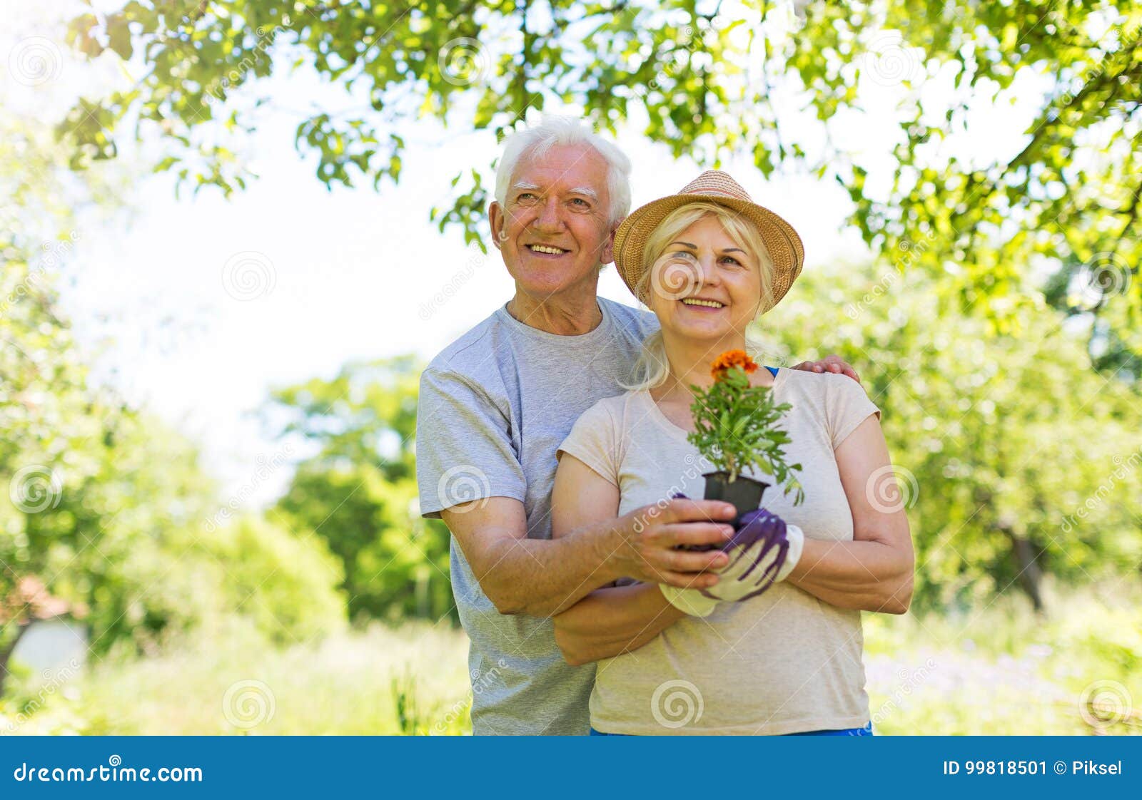 Senior couple gardening stock image. Image of green, enjoying - 99818501