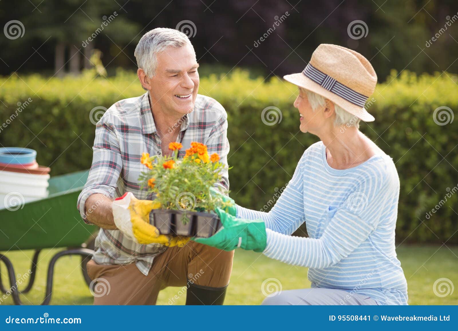 Senior Couple Gardening Together Stock Image - Image of female, leisure ...