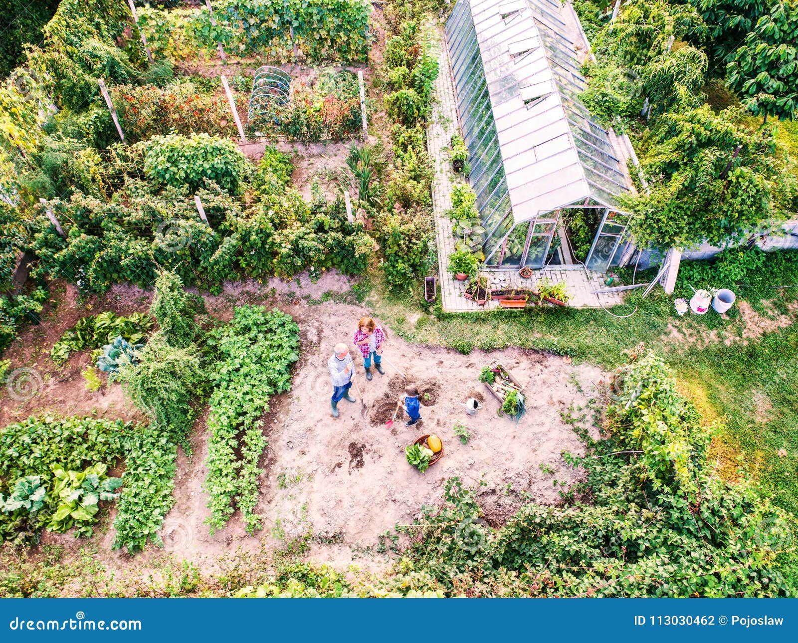 Senior Couple with Grandaughter Gardening in the Backyard Garden. Stock ...