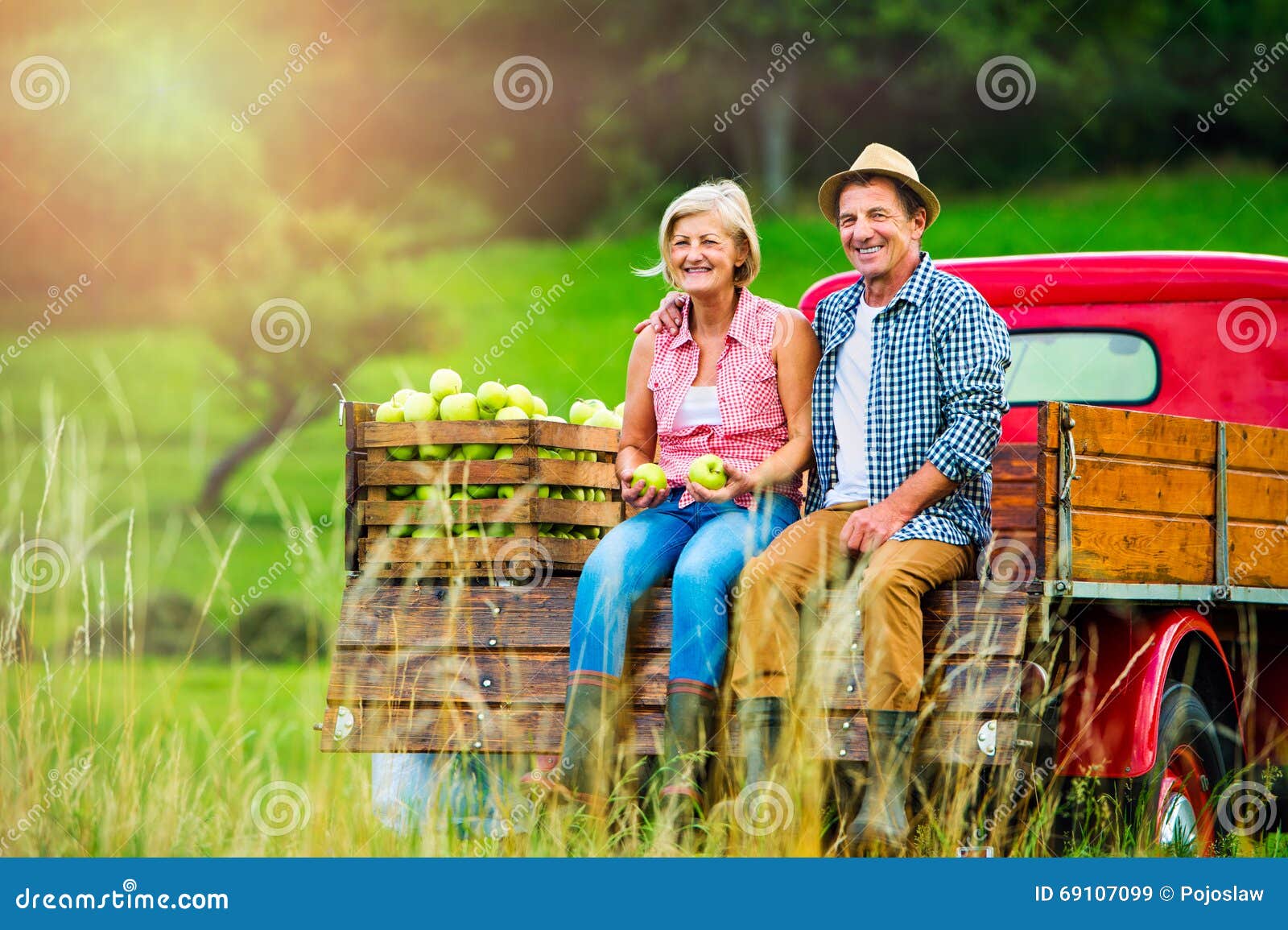 Senior Couple Sitting in Pickup Truck, Apple Harvest Stock Image ...