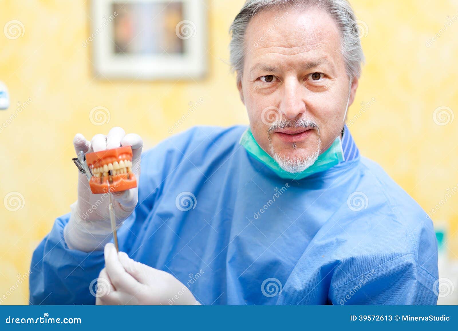 Senior Dentist Showing a Denture Stock Image Image of dental