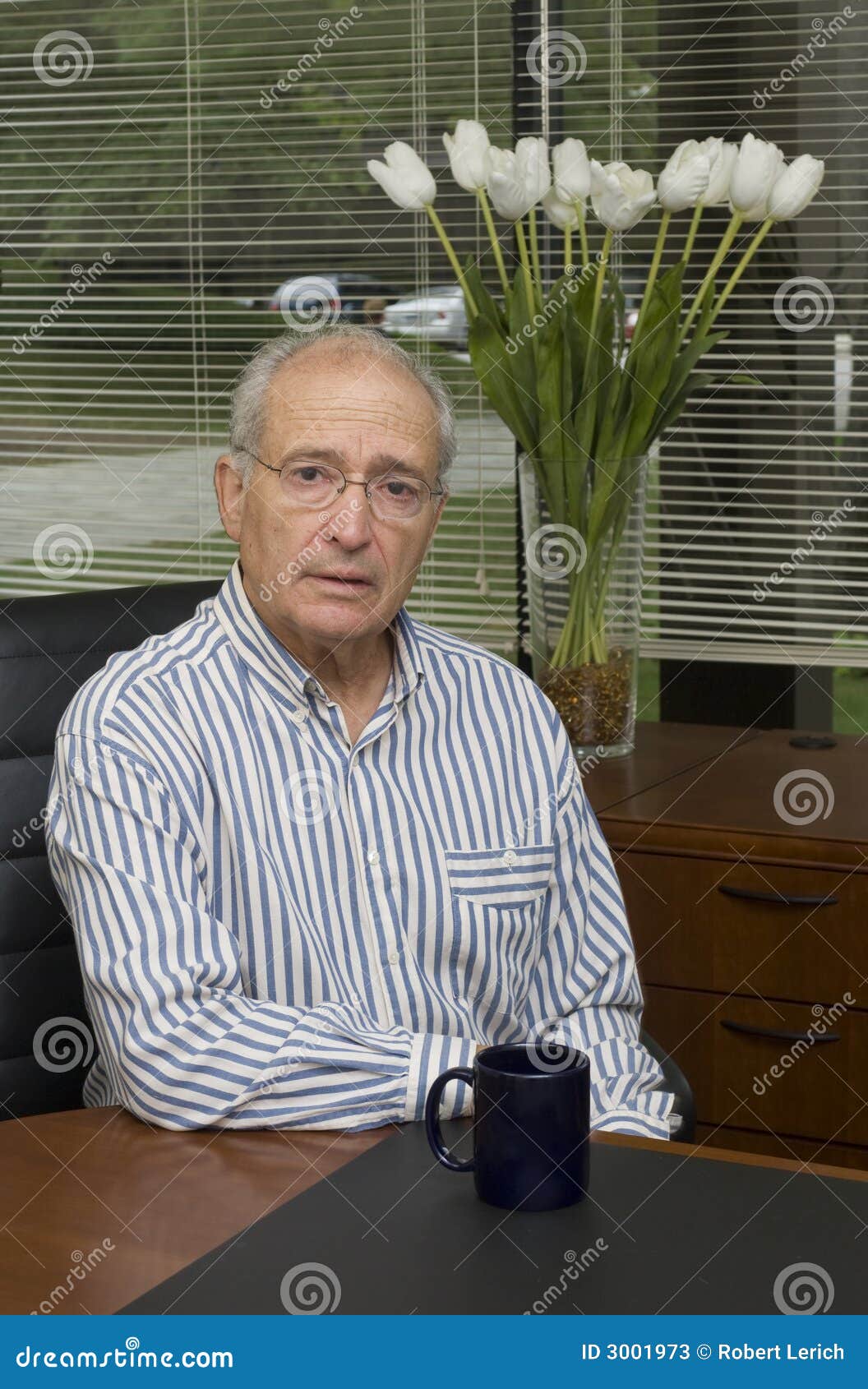 Senior executive in office stock image. Image of concerned 3001973