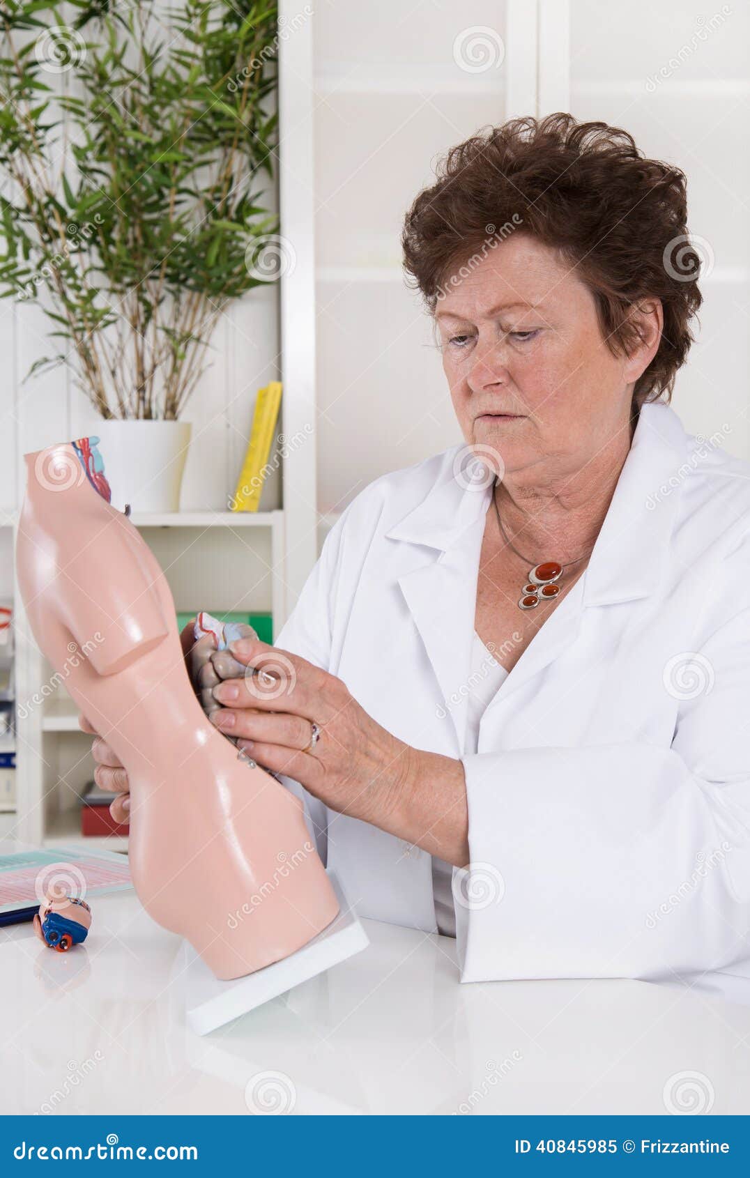 senior female doctor demonstrate and explain the human body.