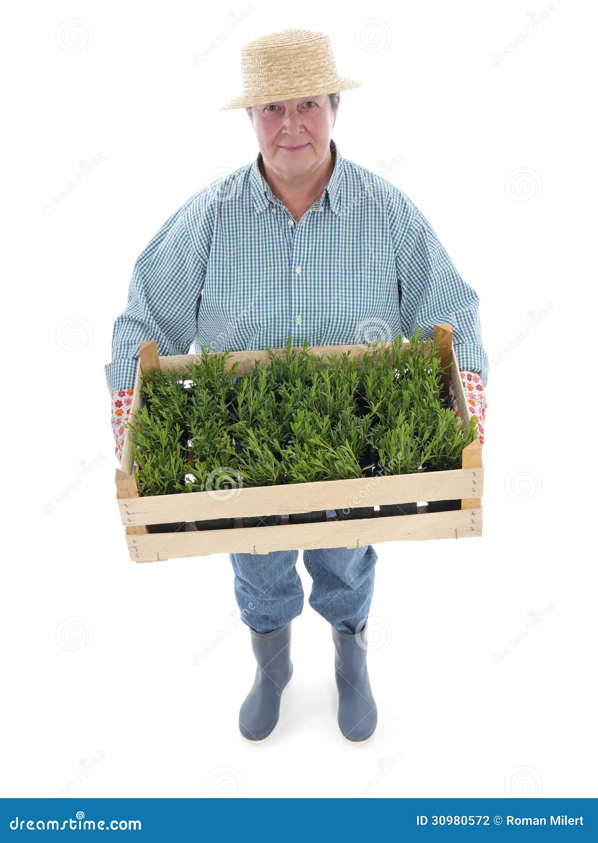 senior gardener with box of aspic