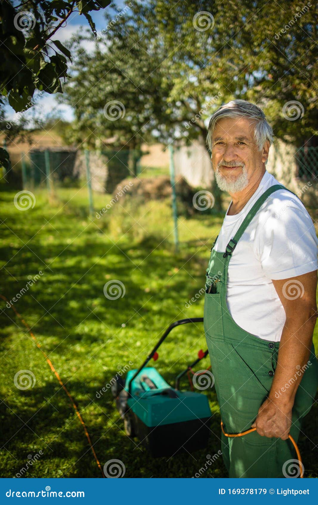 Senior Gardenr in His Permaculture Garden - Mowing the Lawn Stock Image ...