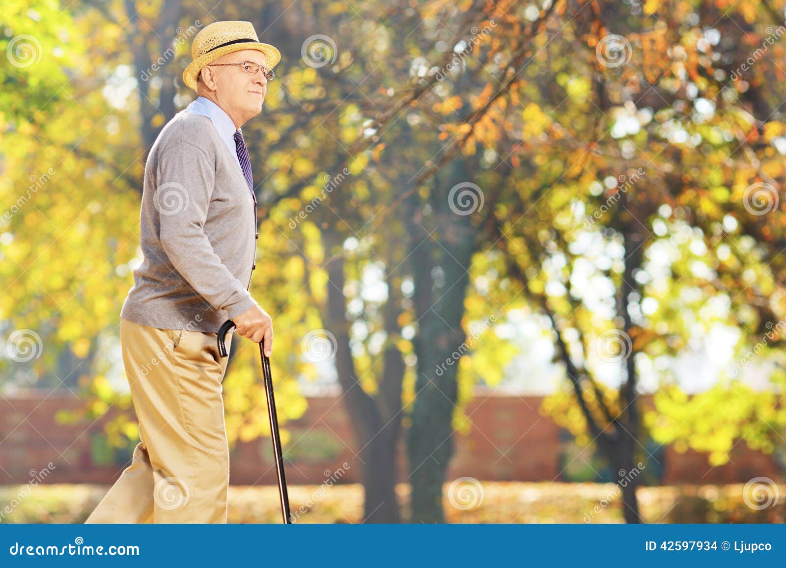 Senior Gentleman Walking with a Cane in Park Stock Photo Image of person, lifestyle 42597934