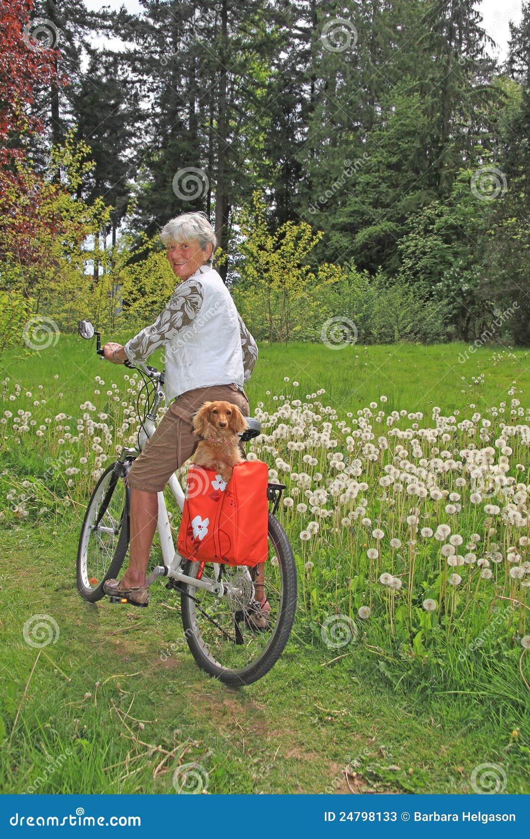 Senior lady cyclist stock image. Image of hair, bicycle 24798133