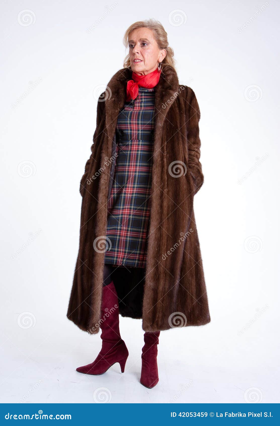 Senior Lady with Mink Coat E Stock Image Image of class, coat 42053459