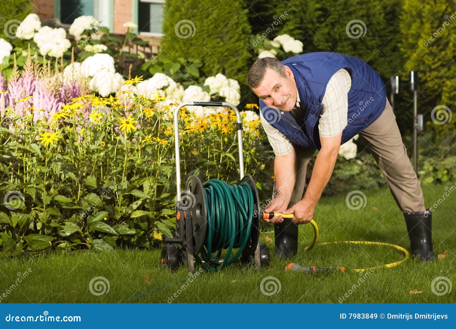 Senior Man Crimping Hose in the Garden Stock Image Image of