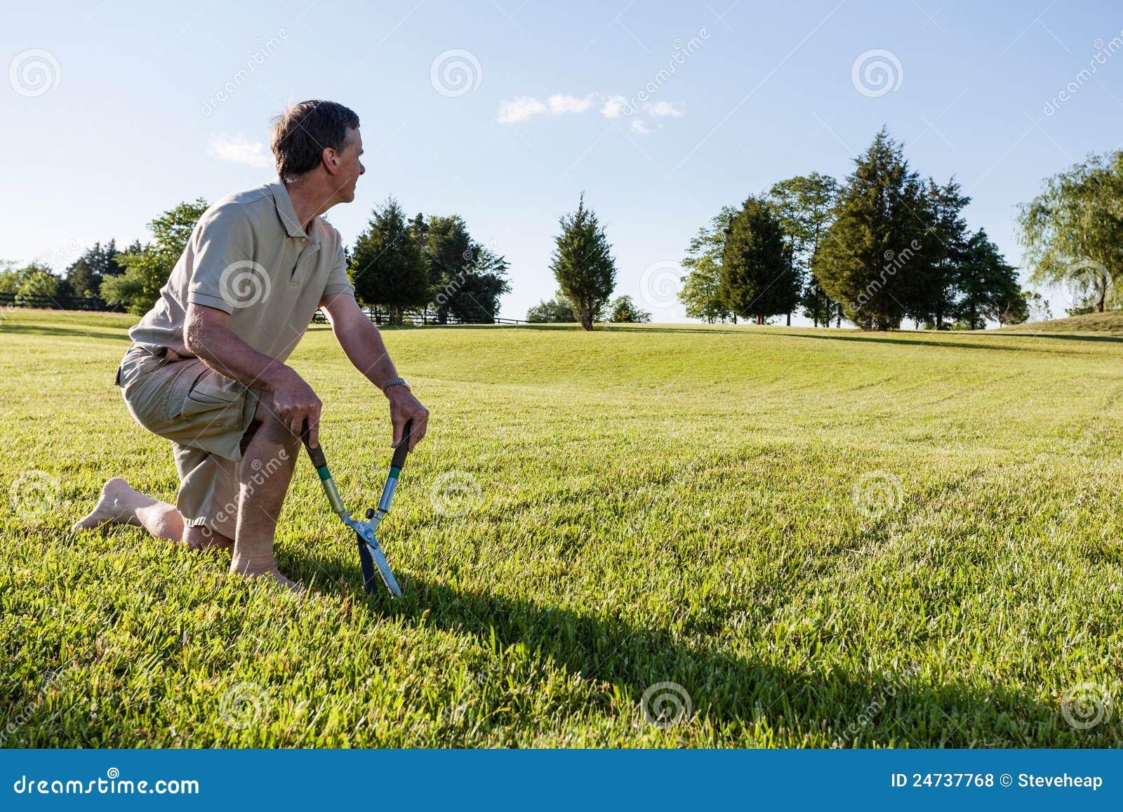 Senior Man Cutting Grass with Shears Stock Photo Image of elderly