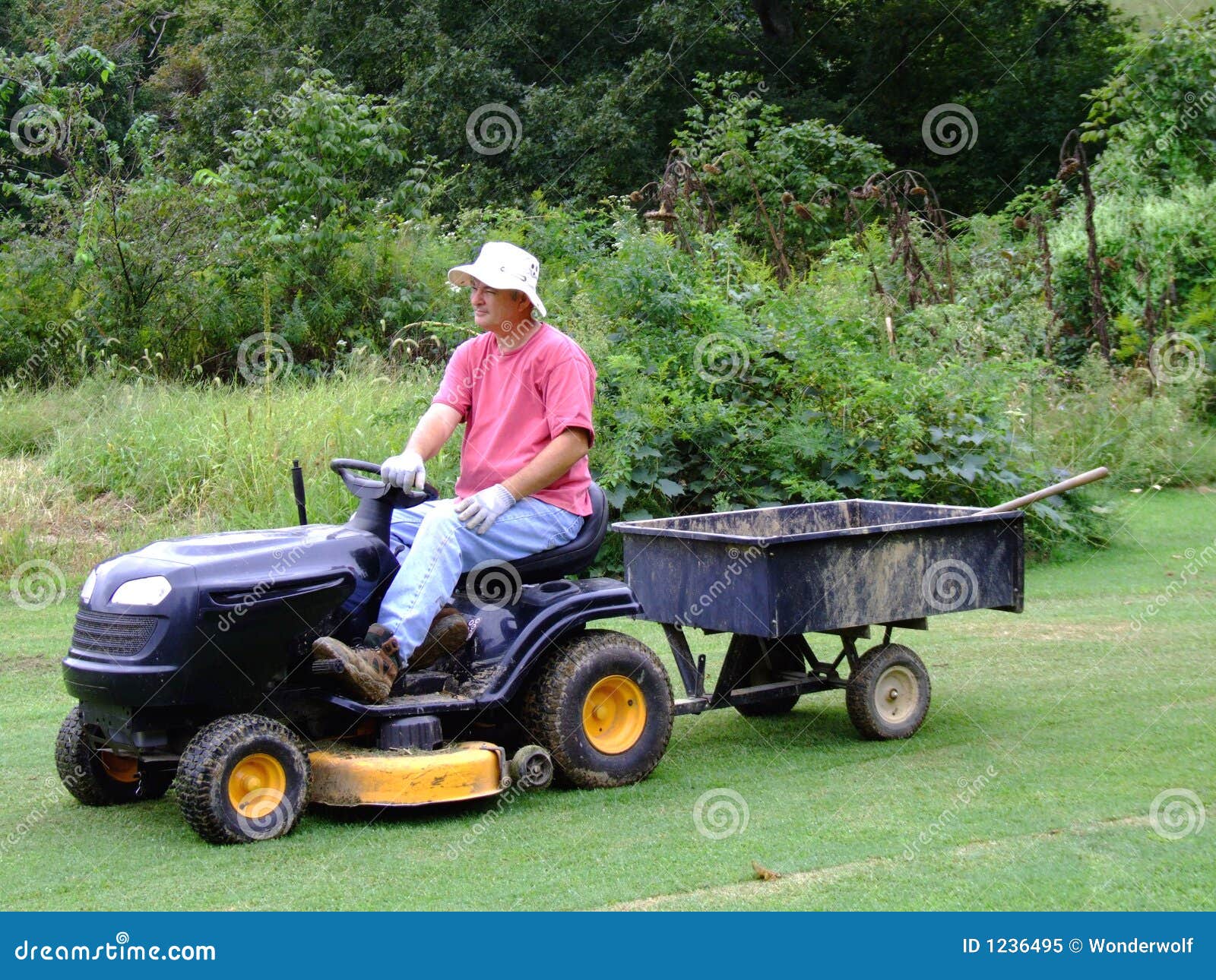 Senior Man doing Yard Work stock image. Image of garden 1236495