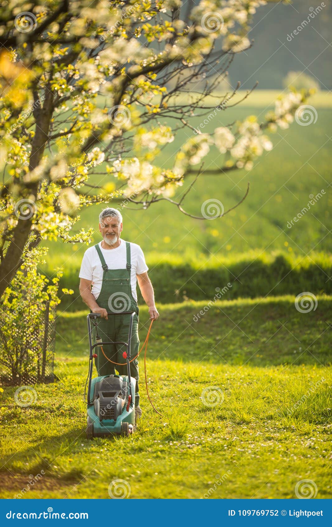 Senior man mowing the lawn stock photo. Image of pension - 109769752