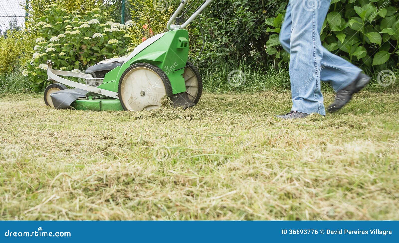 old screensavers lawnmower man old screensavers lawnmower man