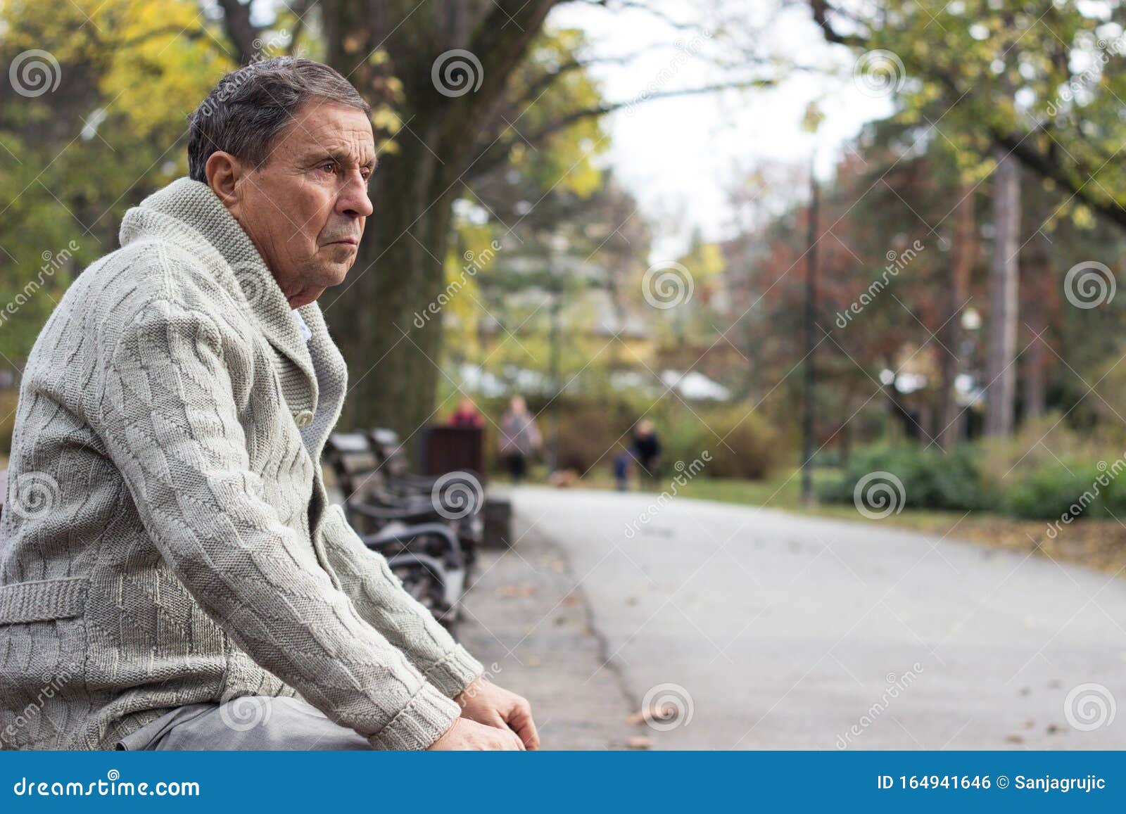 Senior Man Sitting on Bench in the Park Stock Photo - Image of ...