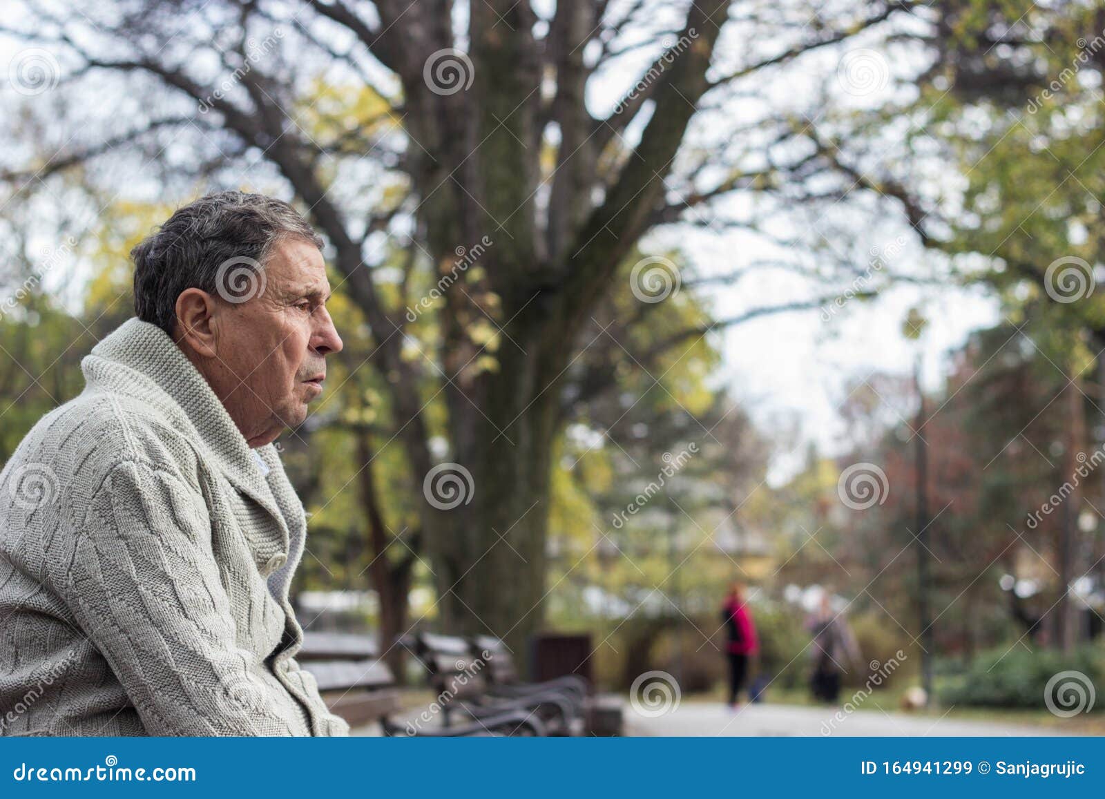 Senior Man Sitting on Bench in the Park Stock Image - Image of gray ...