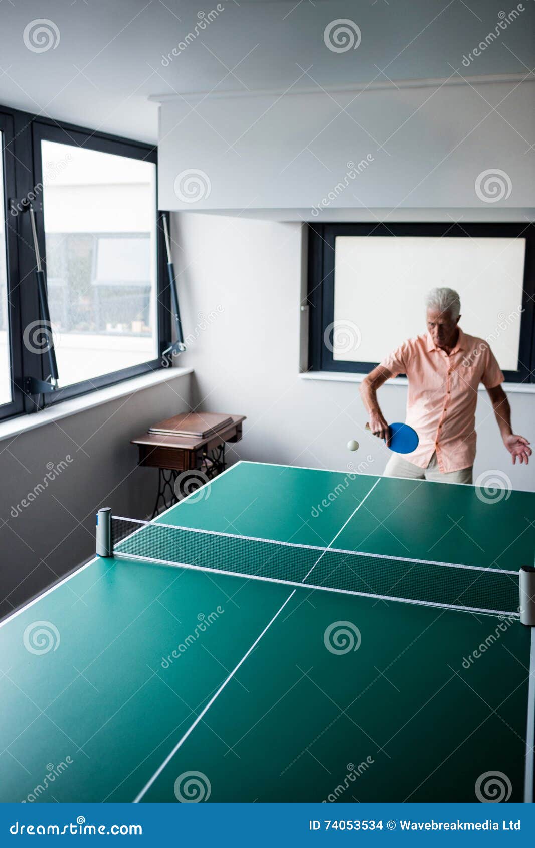 Senior playing ping pong stock photo. Image of caucasian 74053534