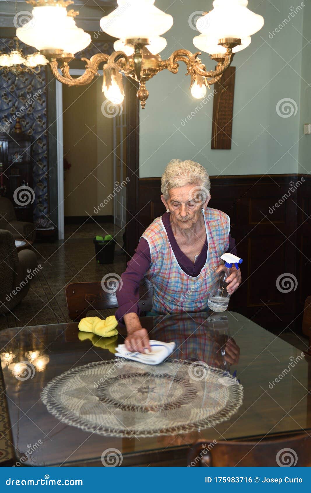 Senior Woman Dusting the House Stock Photo Image of portrait, tree