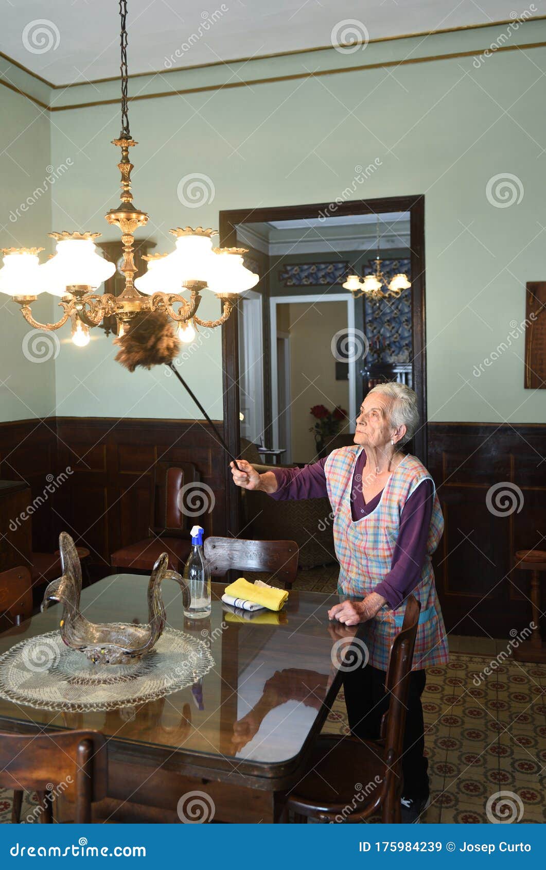Senior Woman Dusting the House Stock Image Image of dust, living