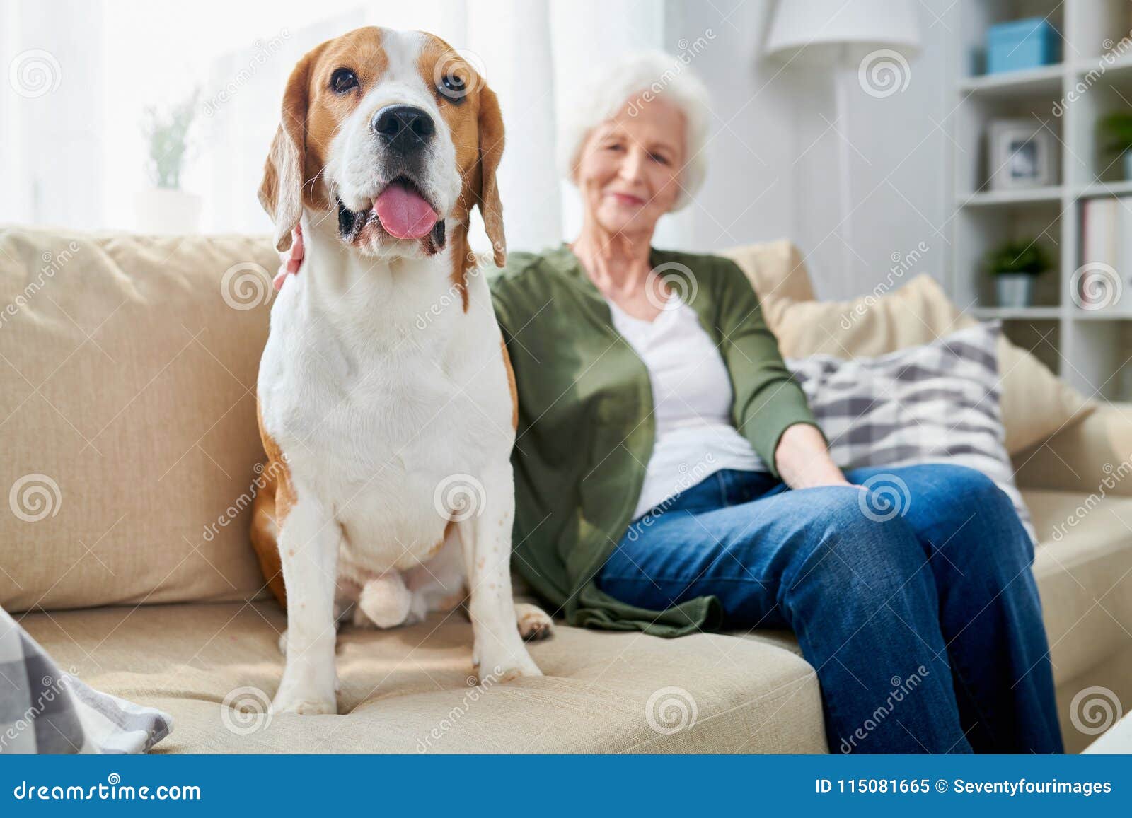 old dog dying at home