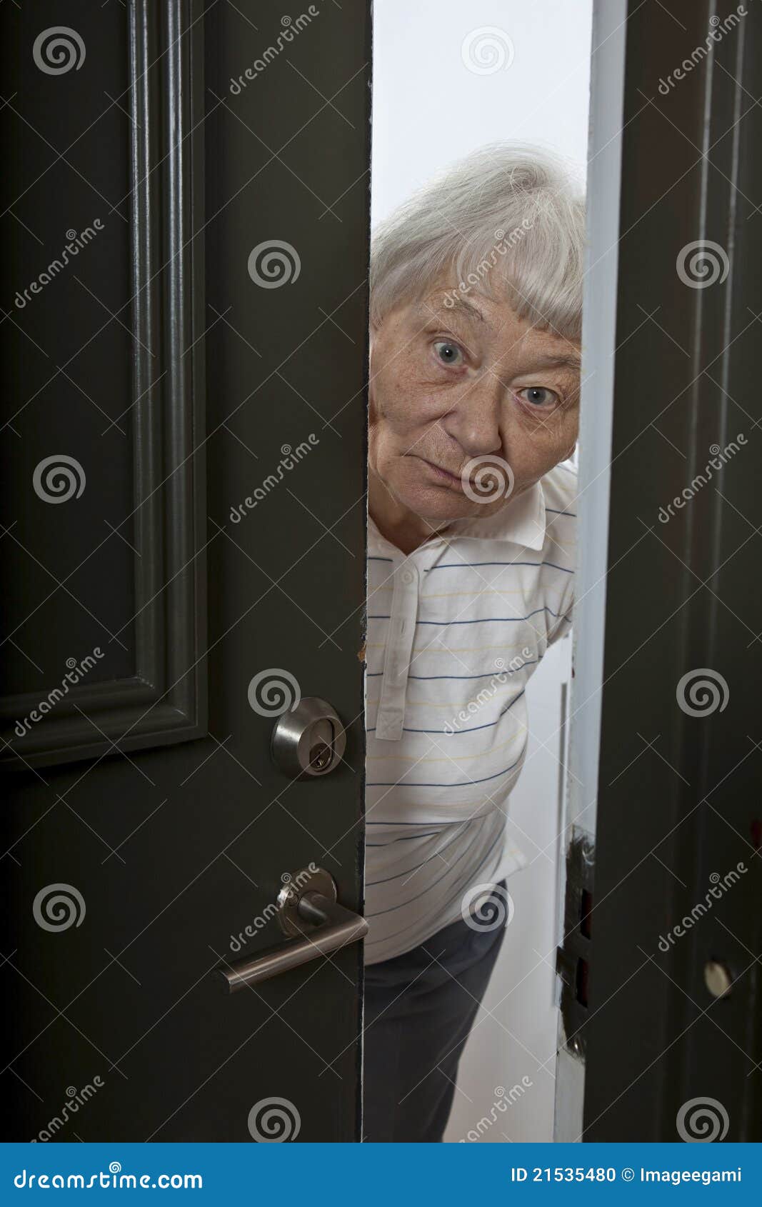 Senior Woman Opening Front Door Stock Photo Image of home, help 21535480