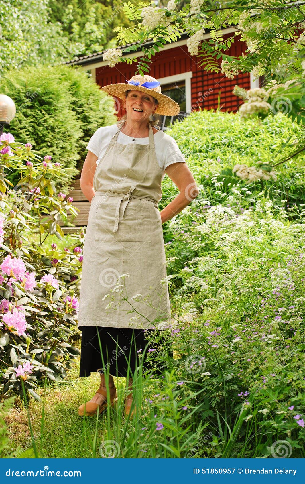 Senior Woman Standing In Garden Stock Image - Image of rhododendron ...