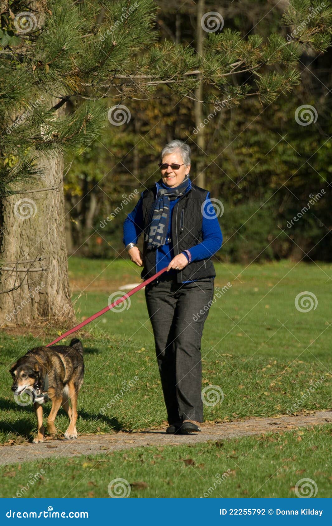 Senior woman walking dog stock photo. Image of vest, woman 22255792