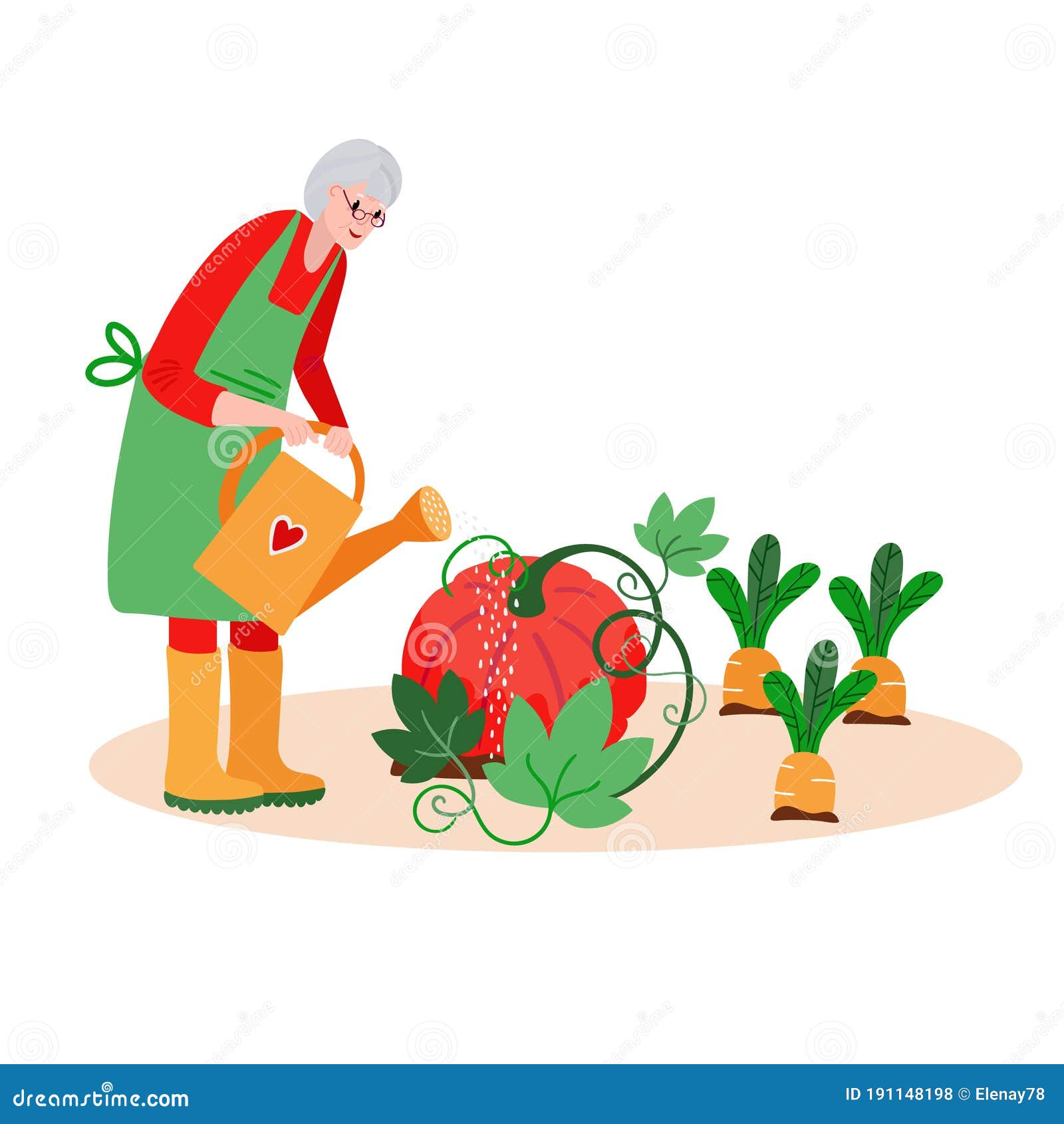 Senior Woman Watering Garden. Active Old Farmer Caring about Pumpkin ...