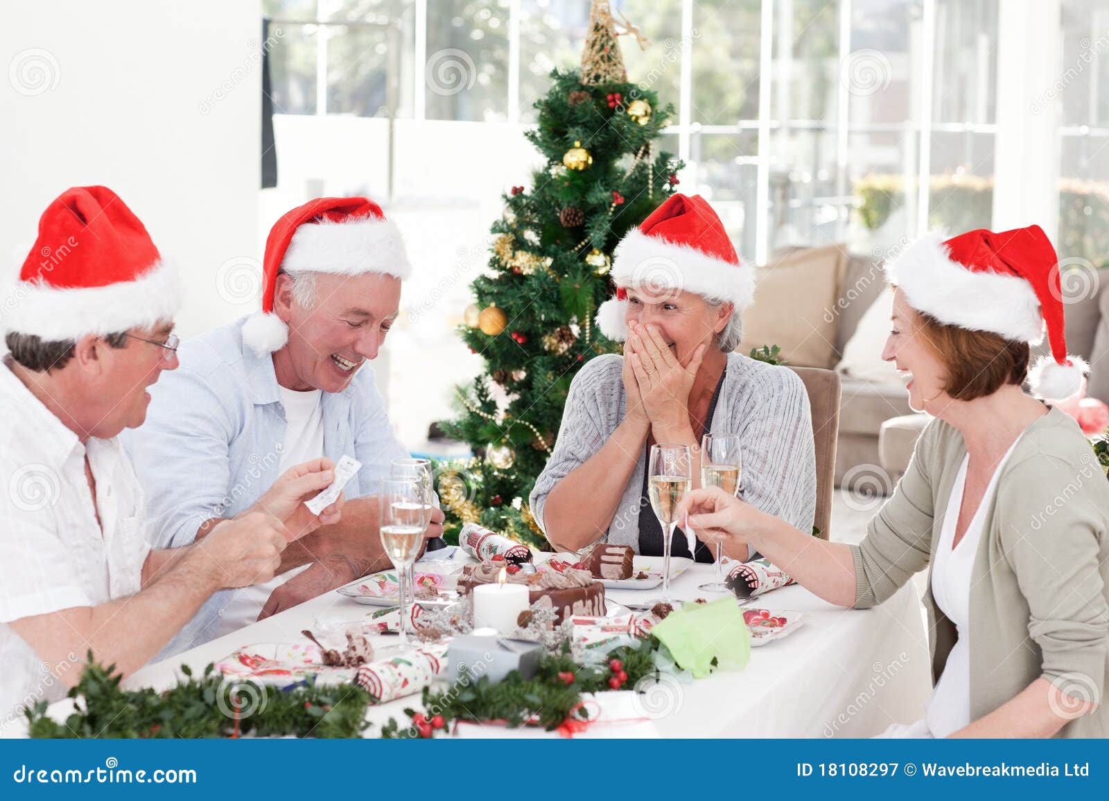Seniors On Christmas Day At Home Stock Image Image Of Surrounded Husband 18108297