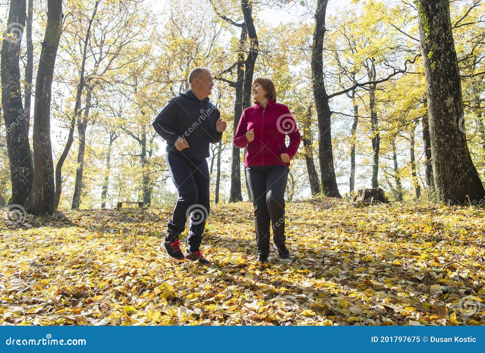 Seniors Jogging on a Forest Stock Image - Image of nature, seniors ...