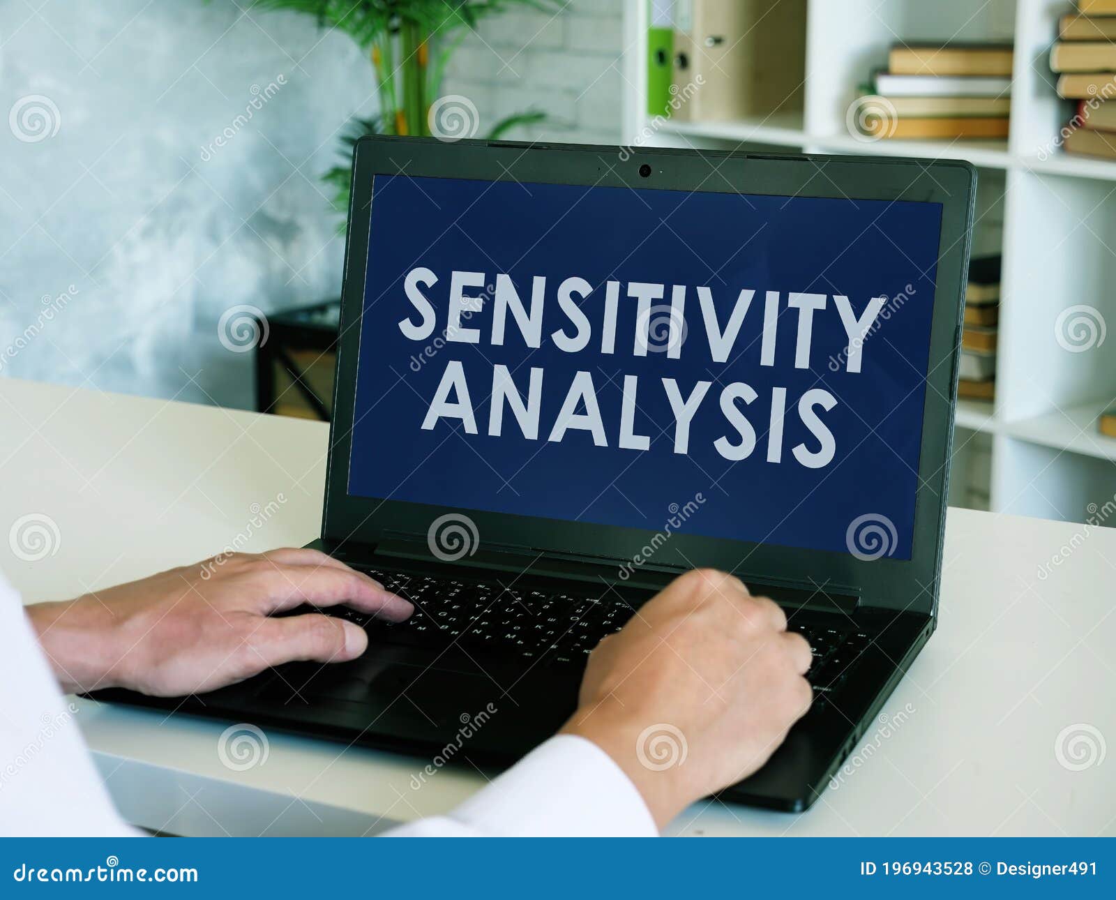 sensitivity analysis report on screen of laptop.