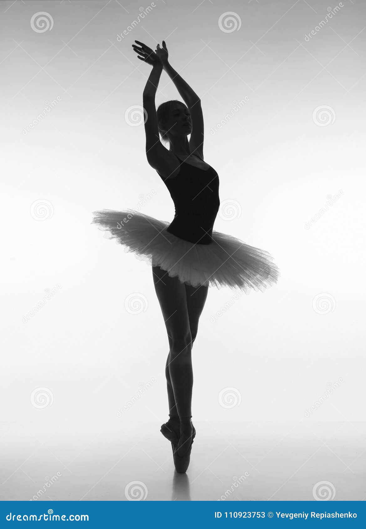 Sensual Ballerina in Shade Stock Image - Image ballerina, beauty: 110923753