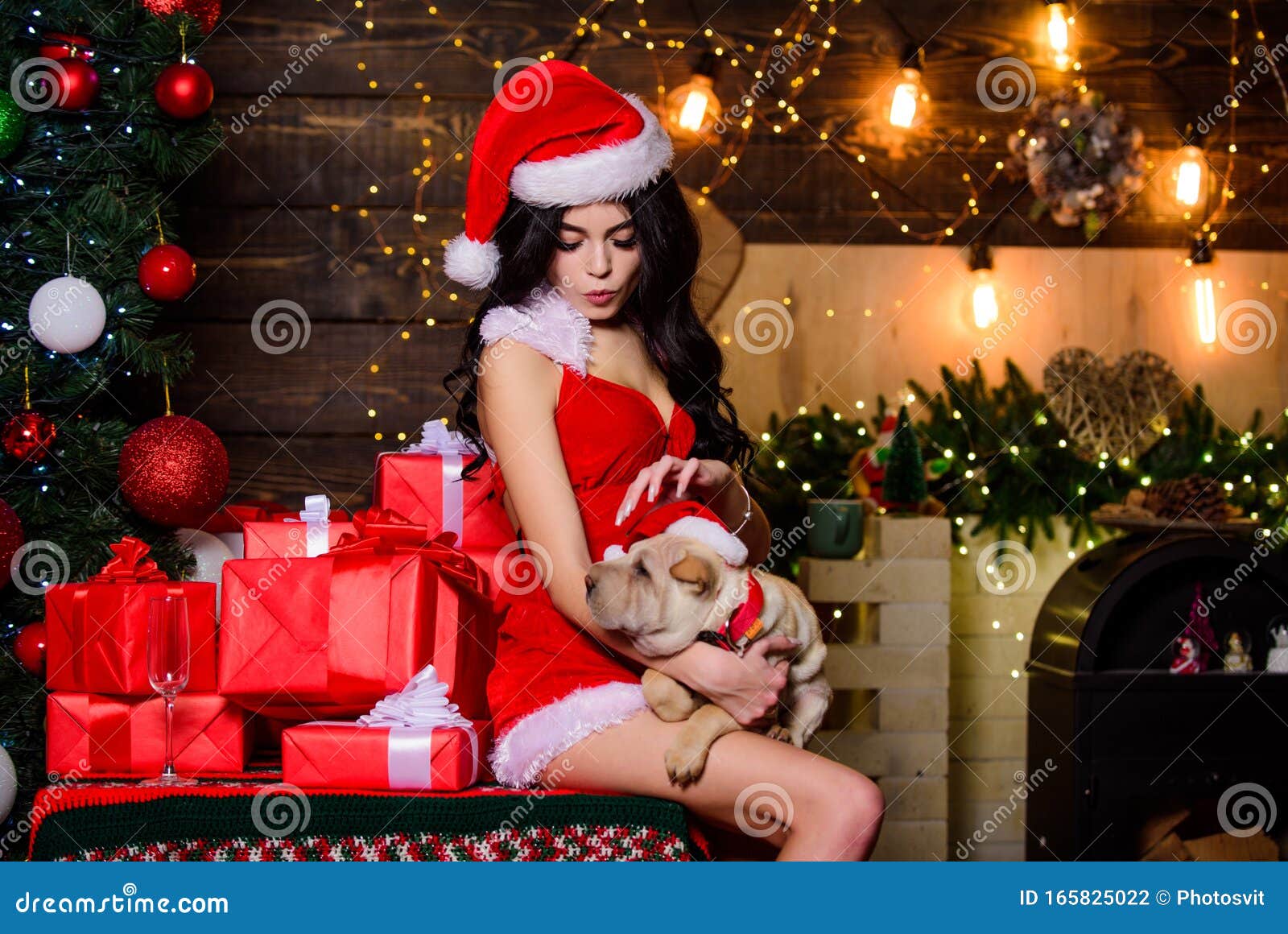 Sensual Girl in Erotic Lingerie. Dogs Friendly Concept. Woman in Santa Hat  Hug Puppy. Veterinary Shop Stock Photo - Image of little, rights: 165825022