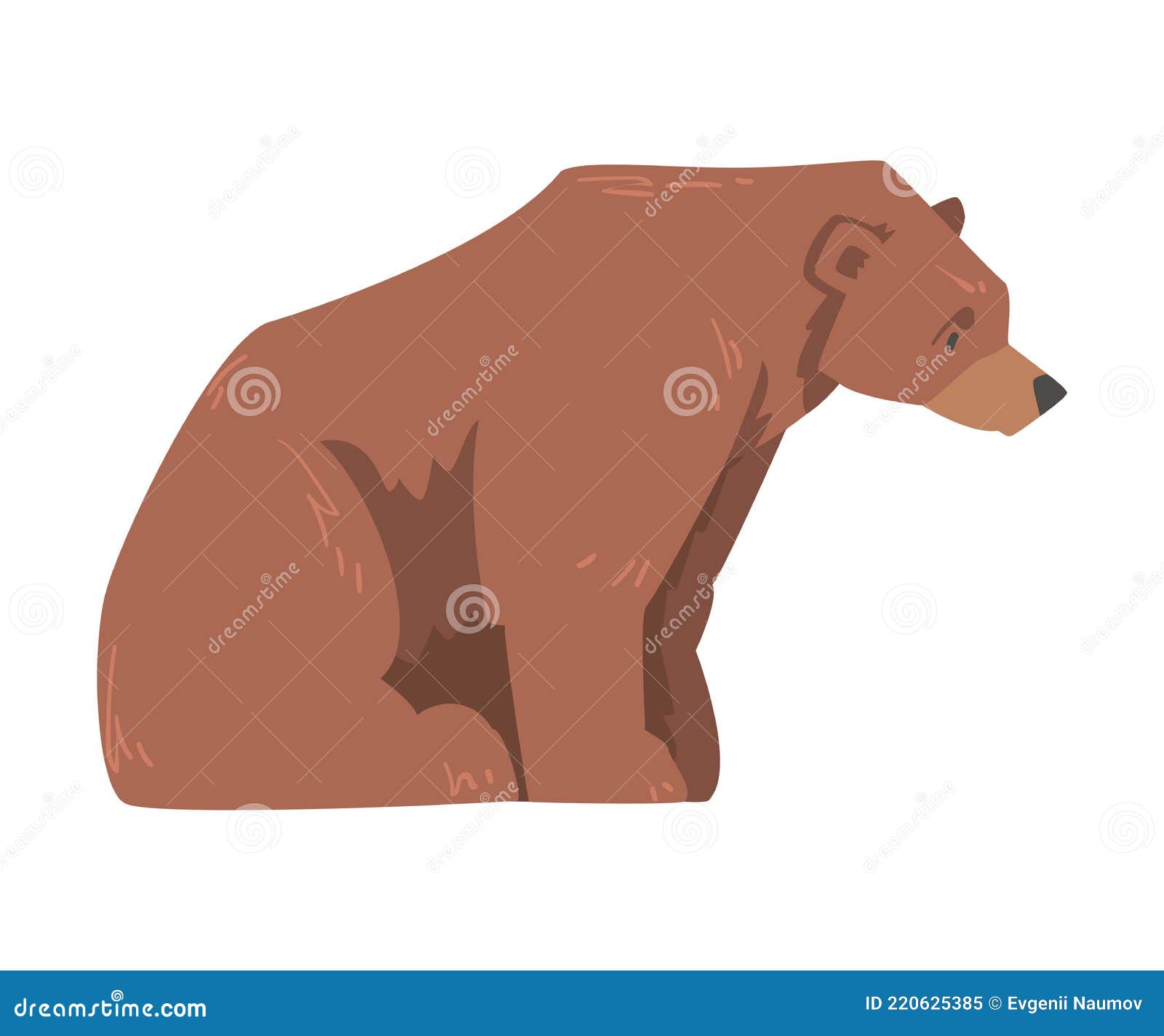 Sentado Marrón Oso Vista Lateral Gran Depredador Salvaje Mamífero Animal Dibujos Animados Vector Ilustración Ilustración del Vector - Ilustración de animal, pardo: 220625385 Sentado Marrón Oso Vista Lateral Gran Depredador Salvaje Mamífero Animal Dibujos Animados Vector Ilustración Ilustración del Vector - Ilustración de animal, pardo: 220625385