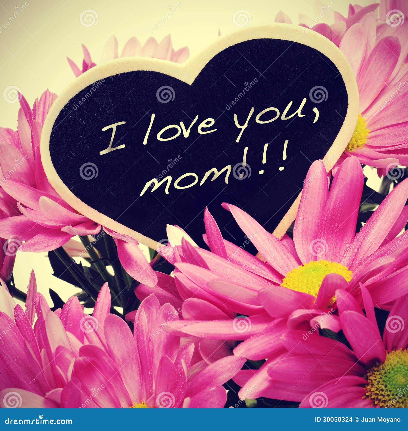 1 156 I Love You Mom Photos Free Royalty Free Stock Photos From Dreamstime