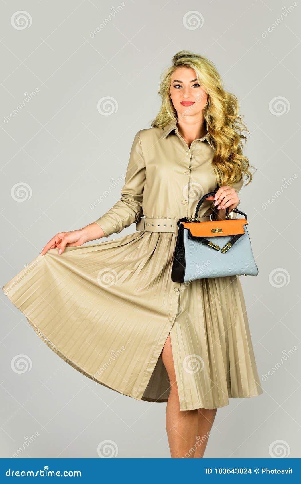 Sentirsi Ironico. Bellezza Con Borsa. Bionda Con Elegante Trucco. Salone  Per Parrucchiere. Seguire La Tendenza Personale Fotografia Stock - Immagine  di capelli, eleganza: 183643824